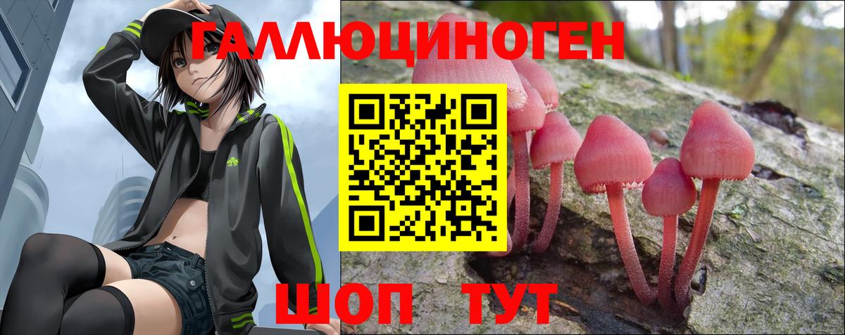 Псилоцибиновые грибы Psilocybine cubensis Соликамск