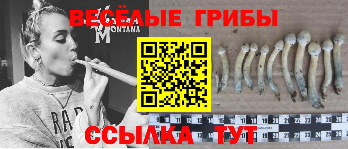 Соликамск  Псилоцибиновые грибы Psilocybine cubensis  Вход с VPN 